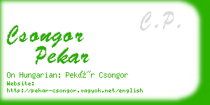 csongor pekar business card